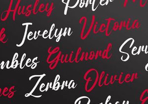 Angilla Denis - Brush Script Font