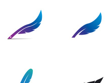 Feather logo design.