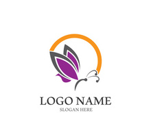 Butterfly logo icon vector design illustration