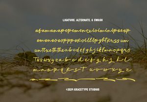 Recordo Cinema | Retro Script Font
