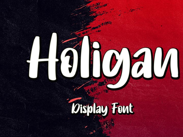 Holigan