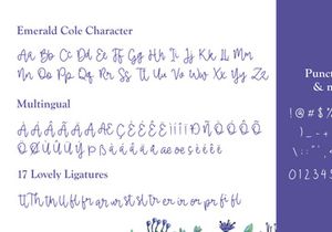 Emerald Cole - Modern Calligraphy Font