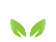 Green leaf ecological element vector icon logo