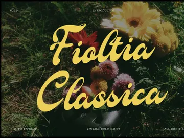 Fioltia Classica | Vilntage Bold Script preview picture