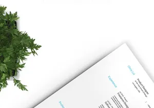 Swiss Design CV/Resume Template
