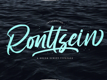 Ronttsein - Brush Script Font preview picture