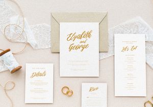 Perfecta Liner - Handwritten Script