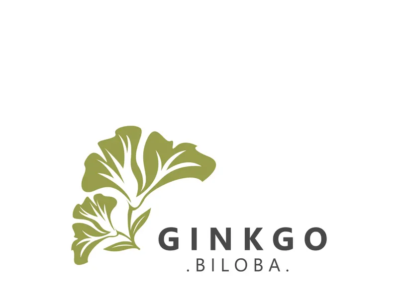 Ginkgo biloba leaf logo. can be used for herbal health products modern style logo design template