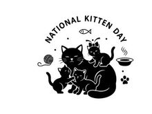 National Kitten Day Family Cats Vector