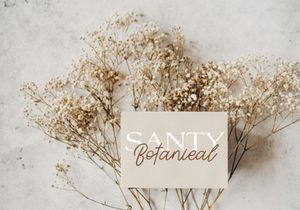 Wonderland - An Elegant Script Font