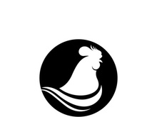 Rooster head logo template vector