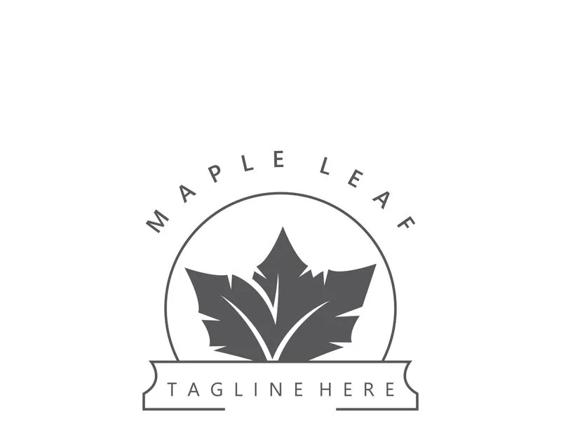 Maple leaf logo design vintage style graphic illustration