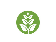 Eco green icon illustration design