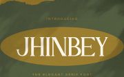 JHINBEY - Elegant Serif Font