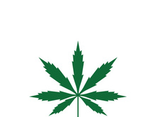 Canabis leaf logo and symbol vector