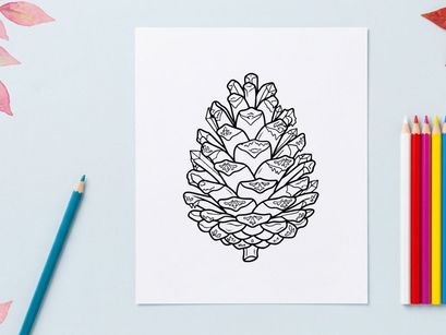Close-up pine cone pada latar belakang putih. Detail botani alami untuk tema alam atau hari raya.