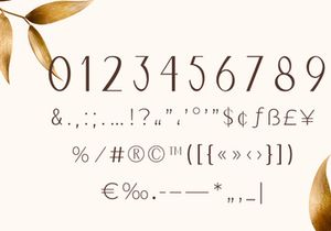 Naomi Elegant Typeface
