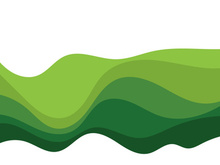 Abstract Green wave vector illustration design background