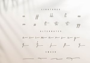 Gramy Pellicent | Handwritten Font