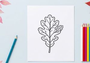 Close-up of a detailed oak leaf. Natural botanical illustration for eco or nature themes.