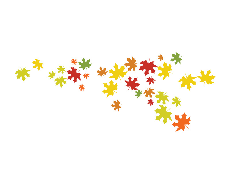 Maple Leaf design illustration