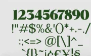 Mount Sagilite – Modern Serif Family Typeface with Variable Font