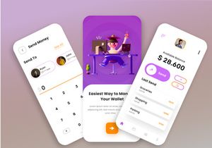 Wallet App UI Comcept