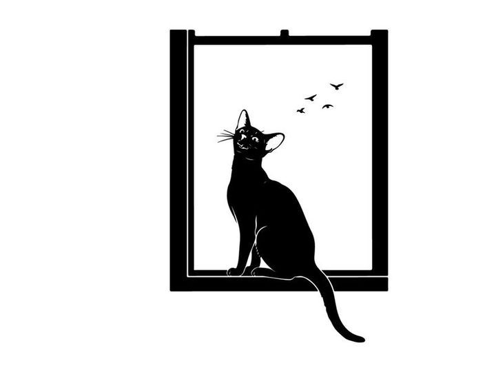 Silhouette of a cat looking out the window at birds silhouette