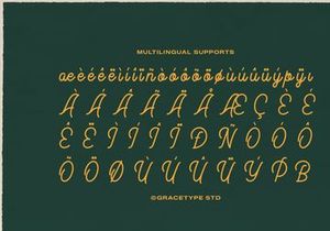 Meptora | Monoline Script