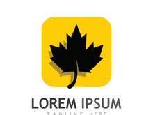 Canadian maple leaf logo design with a creative idea.