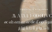 Gyahegi Elegant Modern Serif Font