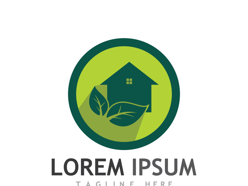 Natural green leaf logo.