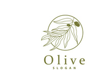 Olive Oil Logo, Olive Leaf Plant Herbal Garden Vector