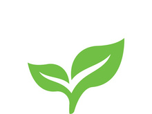 Logos of green tree leaf ecology nature element vector