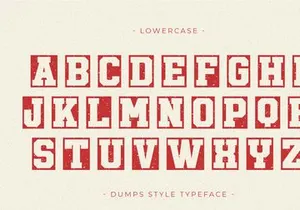 Dumps Style - Display Font