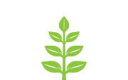 Leaf logo