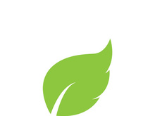 Leaf logo vector icon design template