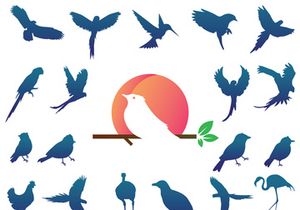 Animals : Silhouette Collection With Logo