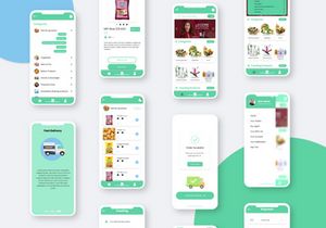 Grocery Delivery App