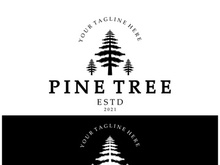 simple pine or fir tree logo,evergreen.for pine forest,adventurers,camping,nature,badges and business.vector