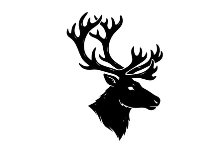 Black silhouette of a deer head with large antlers isolated on a white background.