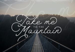 The Saily - Monoline Retro Script Font