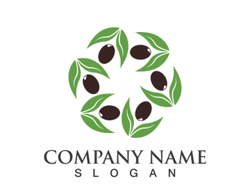 Extra virgin olive oil logo icon design vector illustration preview picture