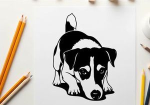 Silhouette of a cute black and white dog crouching down