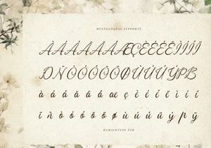 Serphina Lawliam | Handwritten Vintage Script