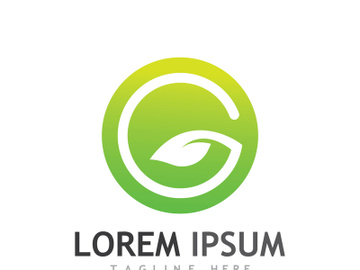 Colorful natural leaf logo design. preview picture