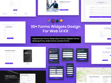 31 Forms Widgets Designs For Web UI Kit preview picture