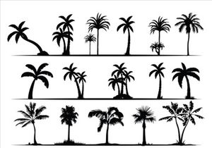 Palm Tree Collection and Silhouettes