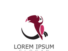 Toucan simple logo design image bird vector illustration