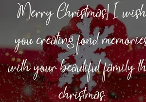 Christmas Delight